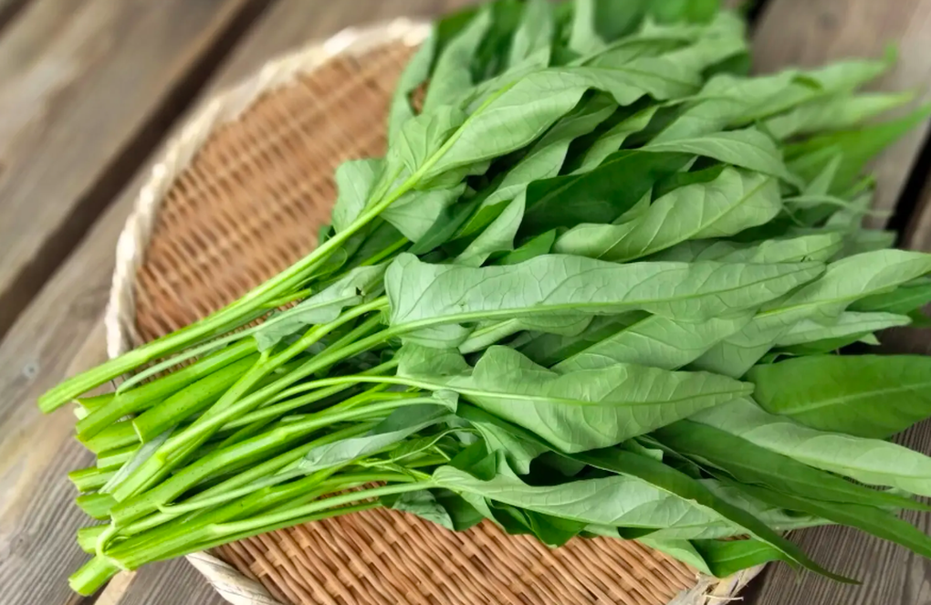Bất ngờ với công dụng của loại rau rẻ tiền ở Việt Nam, người Nhật rất thích - 2 Bất ngờ với công dụng của loại rau rẻ tiền ở Việt Nam, người Nhật rất thích - 2