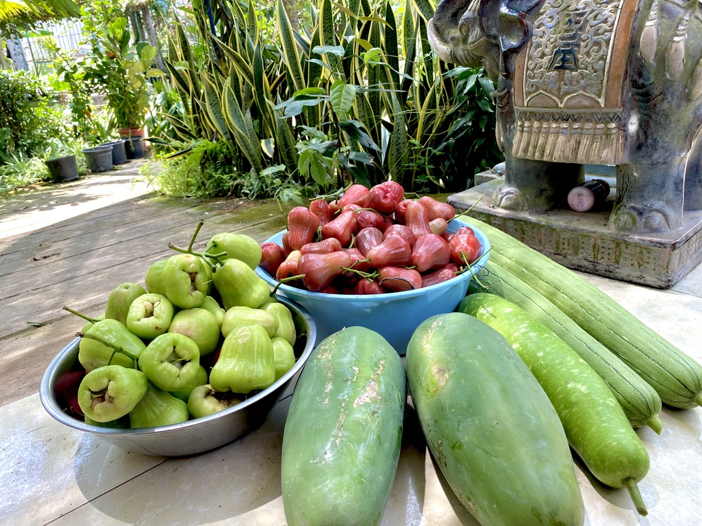 Vườn rau trái trĩu quả của chàng trai liệt hai chân ở miền Tây gây Vườn rau trái trĩu quả của chàng trai liệt hai chân ở miền Tây gây