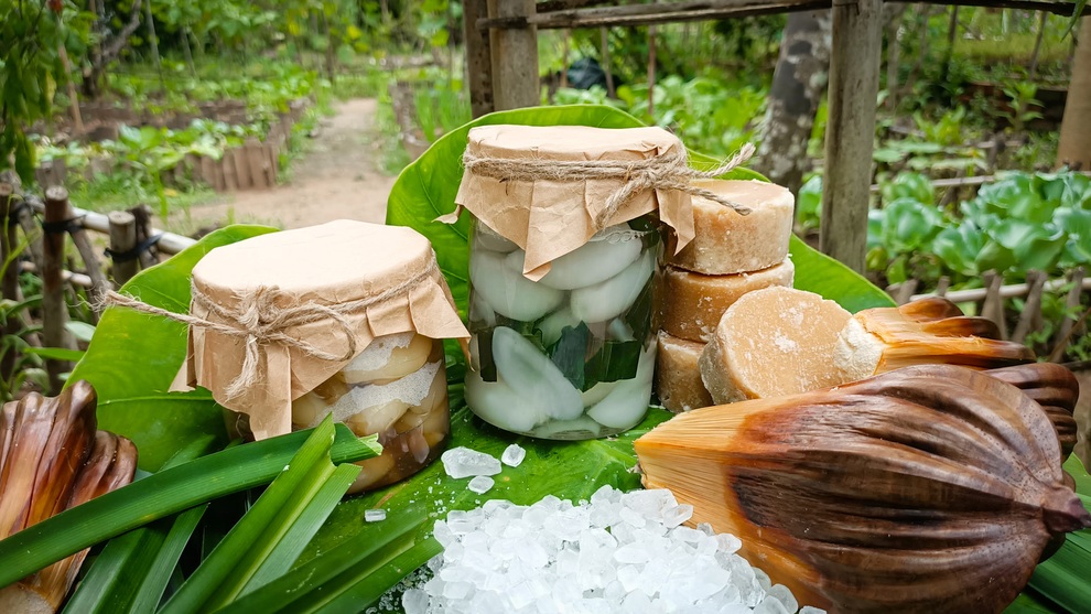 Bỏ phố về quê, cặp vợ chồng Bến Tre làm khu vườn 500m2 tràn ngập rau trái - 12 Bỏ phố về quê, cặp vợ chồng Bến Tre làm khu vườn 500m2 tràn ngập rau trái - 12