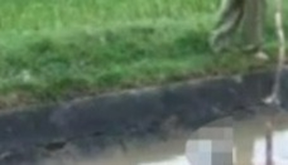 Liên tiếp phát hiện 2 thi thể phụ nữ trôi trên sông - 2 Liên tiếp phát hiện 2 thi thể phụ nữ trôi trên sông - 2