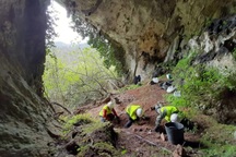 Hy hữu: Con lửng "sưu tầm" hơn 200 đồng tiền cổ đại cất giấu trong hang