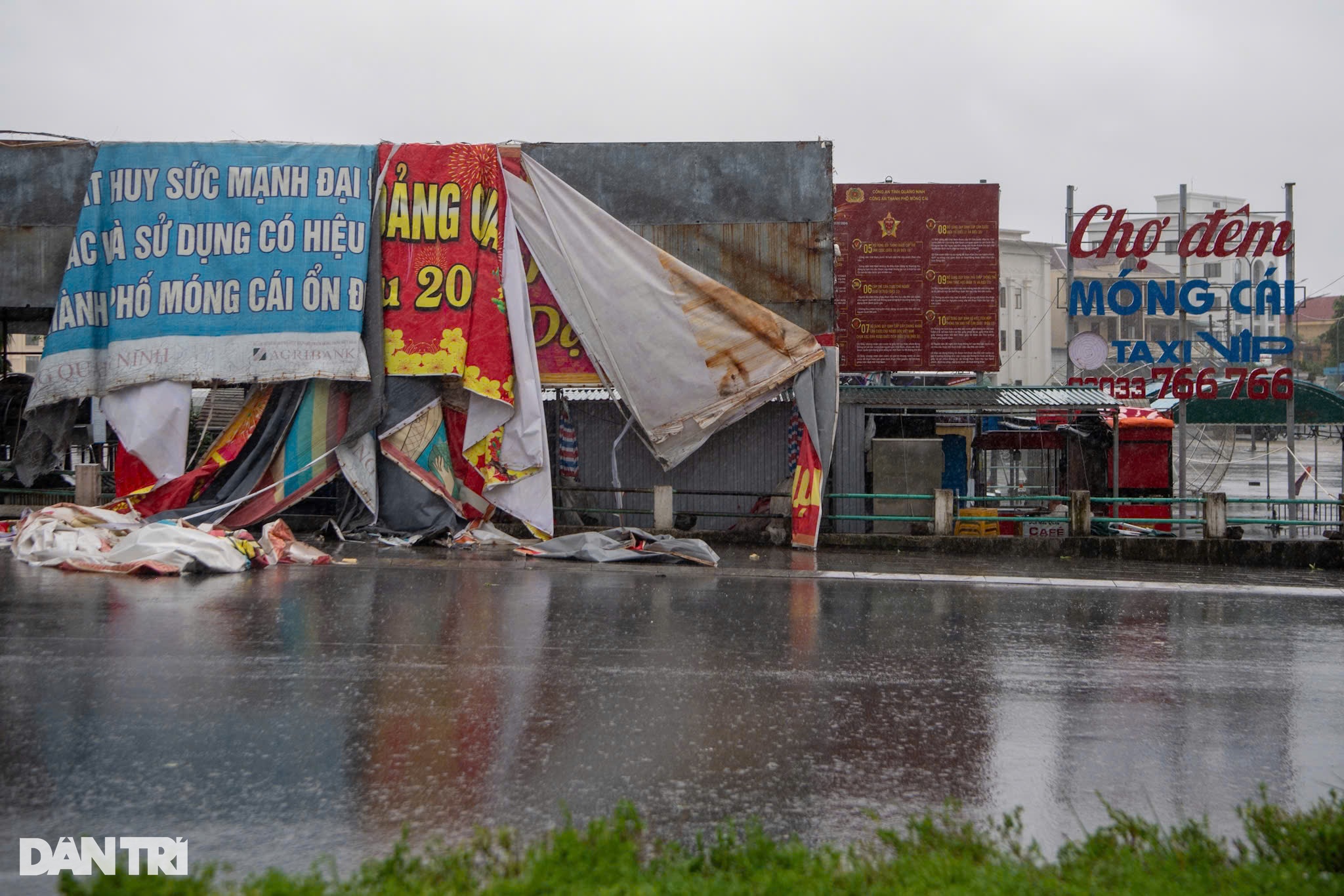 View - Trước giờ bão Yagi đổ bộ Quảng Ninh: Cây xanh gẫy đổ, tôn bay la liệt | Báo Dân trí