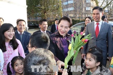Chủ tịch Quốc hội gặp gỡ cán bộ Đại sứ quán và đại diện cộng đồng người Việt Nam tại Hà Lan