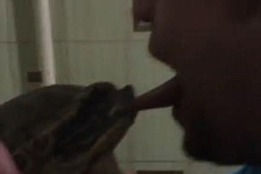 Chụp ảnh tự sướng hôn rùa, suýt bị rùa cắn đứt lưỡi