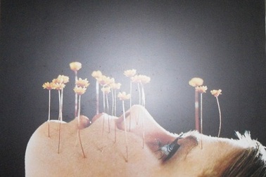 Triển lãm nghệ thuật “100 năm - 100 tranh áp-phích”