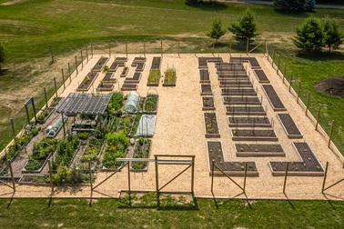 Bỏ phố về quê, mẹ đảm trồng rau hữu cơ, nuôi gà sạch cho con ăn