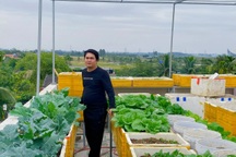 Ngắm vườn rau sân thượng xanh mướt của cặp vợ chồng ở Hải Phòng