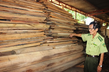 Bắt Tổng Giám đốc chủ mưu vụ phá gần 61 ha rừng