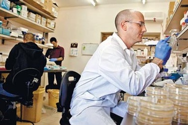 Tìm ra protein diệt khuẩn có thể thay thế kháng sinh