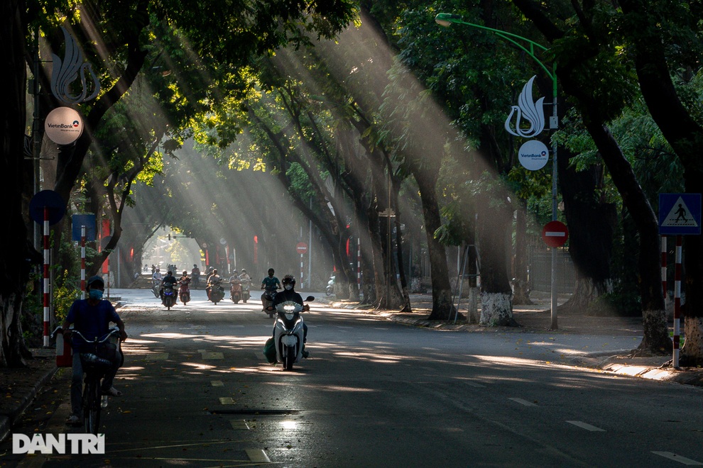 Hà Nội lặng lẽ chuyển mùa giữa thời đại dịch Covid-19 - 6 Hà Nội lặng lẽ chuyển mùa giữa thời đại dịch Covid-19 - 6
