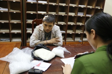 Đình lại 7 Nghị định vì Bộ luật Hình sự sai sót không thể thi hành