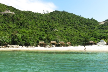 Lá mùng 5 ở Cù Lao Chàm