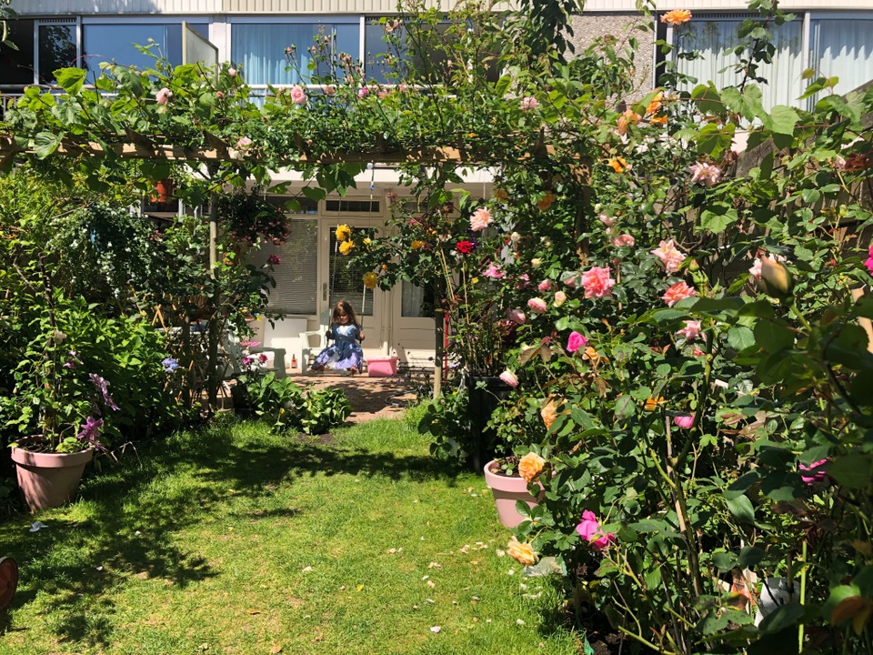 Sửng sốt khu vườn 100m2 tràn ngập hoa trái của mẹ Việt ở Hà Lan - 6