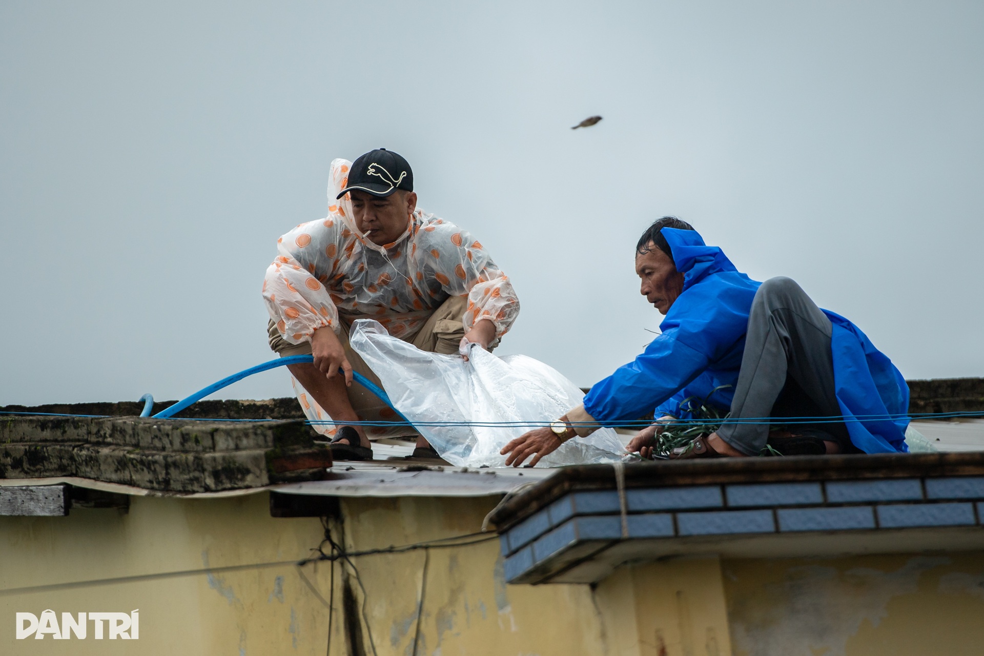 Người dân Cửa Đại chằng chống nhà cửa trước bão Kalmaegi - 3