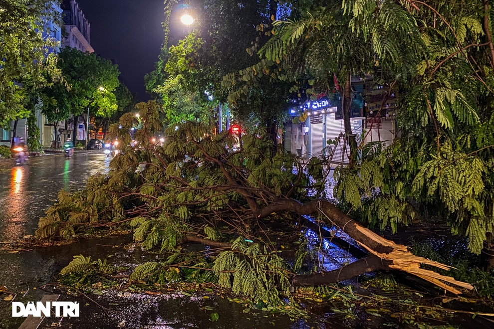 Cơn mưa lớn giải nhiệt nắng nóng ở Hà Nội khiến nhiều cây gẫy đổ, ngập úng - 6 Cơn mưa lớn giải nhiệt nắng nóng ở Hà Nội khiến nhiều cây gẫy đổ, ngập úng - 6