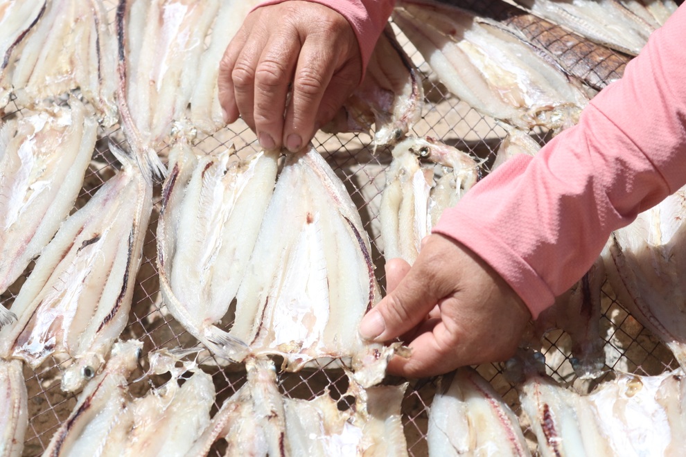 Làm giàu từ hải sản khô, người phụ nữ làng biển thu 2 tỷ đồng mỗi năm - 3 Làm giàu từ hải sản khô, người phụ nữ làng biển thu 2 tỷ đồng mỗi năm - 3