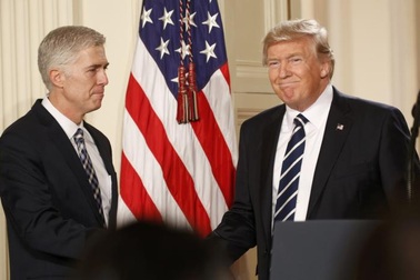 Ông Trump chọn ứng viên Chánh án Tòa án tối cao trẻ nhất trong 25 năm