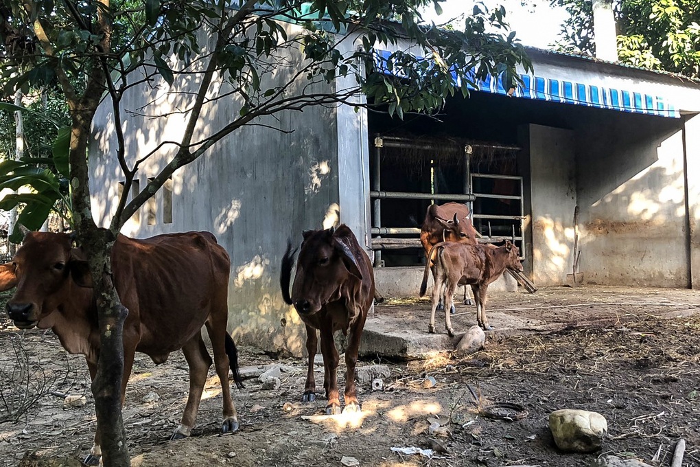 Nỗ lực của Đảng và Nhà nước đối với một dân tộc rất ít người - 3 Nỗ lực của Đảng và Nhà nước đối với một dân tộc rất ít người - 3