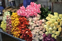 Chợ hoa đêm trước thềm Valentine: Giá hoa còn rẻ hơn dịp Tết