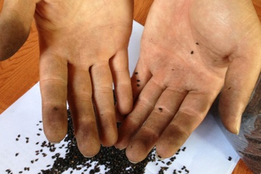 Hoang mang thông tin dùng lõi pin nhuộm đen... hạt vừng