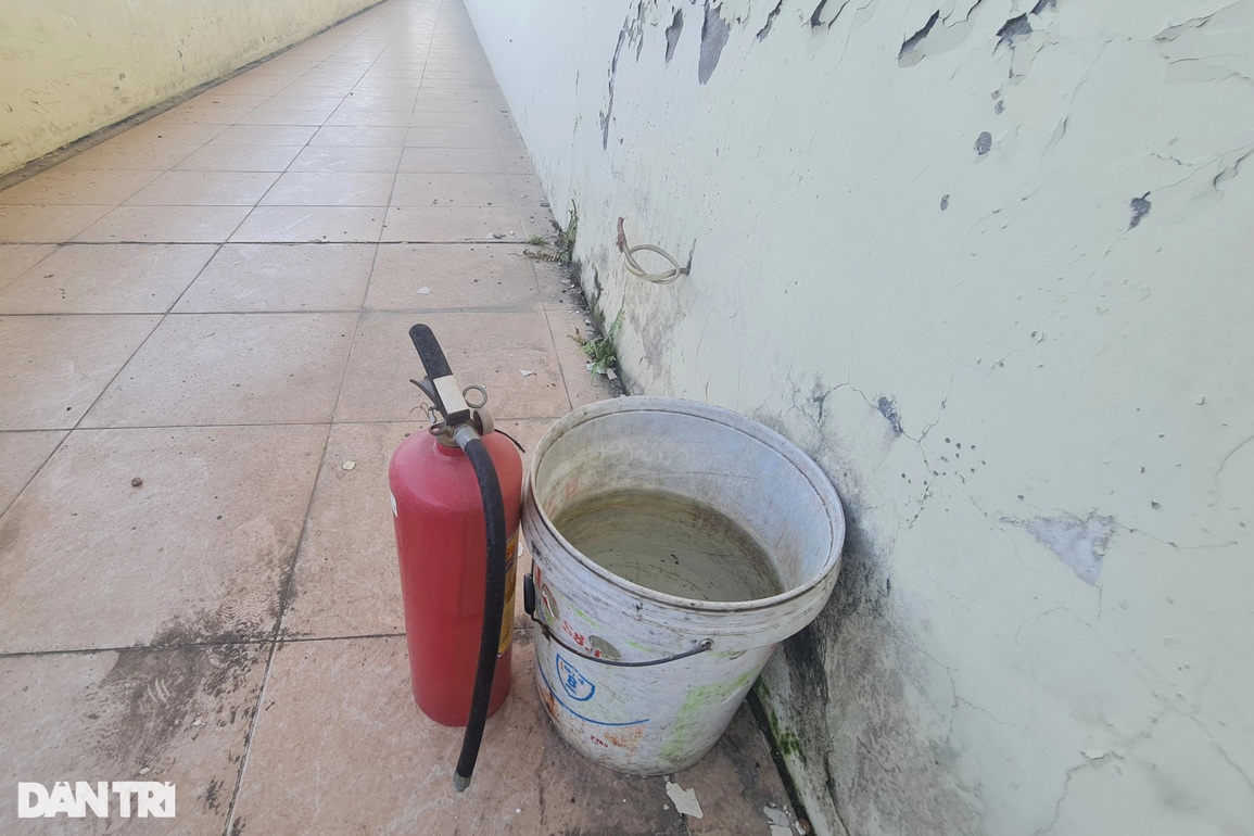 Dẹp tình trạng nhếch nhác ở chợ lớn nhất Nghệ An sau phản ánh của Dân trí - 7 Dẹp tình trạng nhếch nhác ở chợ lớn nhất Nghệ An sau phản ánh của Dân trí - 7