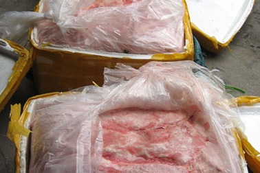 Nầm bẩn đổ về Hà Nội 