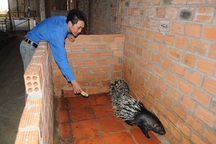 Chàng trai 9x bỏ đại học về quê nuôi thú làm du lịch