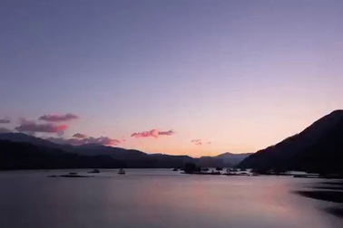 Khám phá mùa thu vàng ở "vùng đất chết" Fukushima