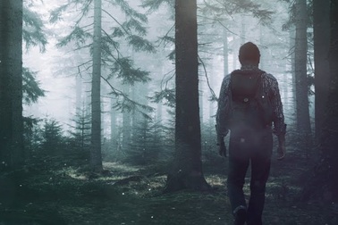 Sống sót kỳ diệu sau 19 ngày lạc trong rừng