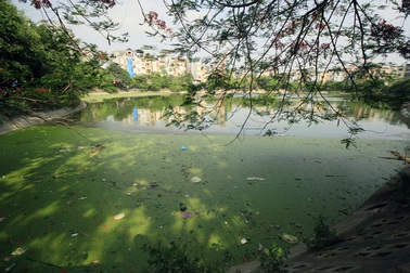 Hà Nội: Hồ lớn nhỏ chung cảnh ngập rác, bốc mùi