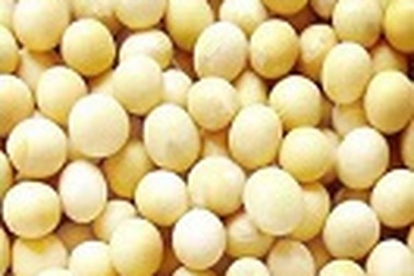 Các loại nước tương có giống nhau không?