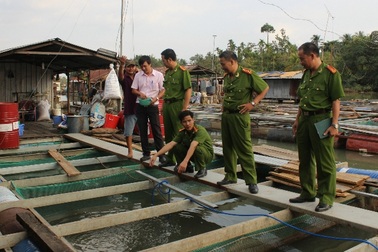 Dân không được đền bù cho 370 tấn cá bè chết trắng