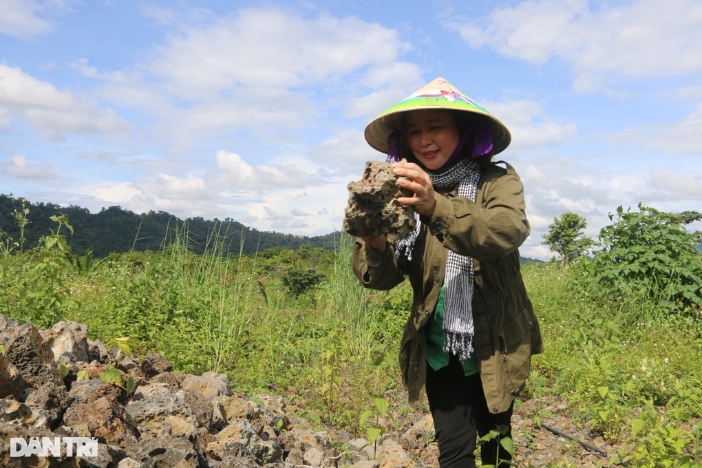 Người phụ nữ 3 năm miệt mài tìm trái ngọt dưới chân núi lửa - 5 Người phụ nữ 3 năm miệt mài tìm trái ngọt dưới chân núi lửa - 5