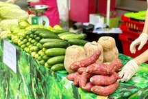 "Bão" Covid-19: Doanh nghiệp điện, nước đi bán... rau