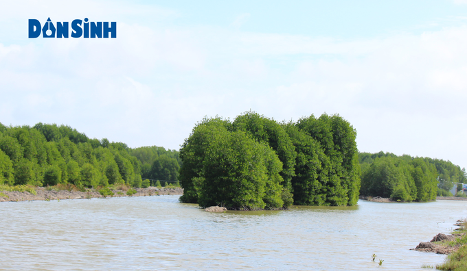 TP.HCM: Đề xuất thành lập Khu bảo tồn biển Cần Giờ - Ảnh 1. TP.HCM: Đề xuất thành lập Khu bảo tồn biển Cần Giờ - Ảnh 1.