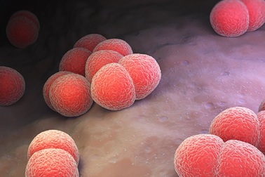 Bệnh lậu có thể lây truyền khi… hôn