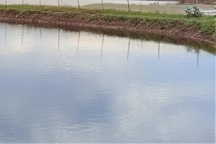 Hai bé trai sinh đôi cùng đuối nước tử vong