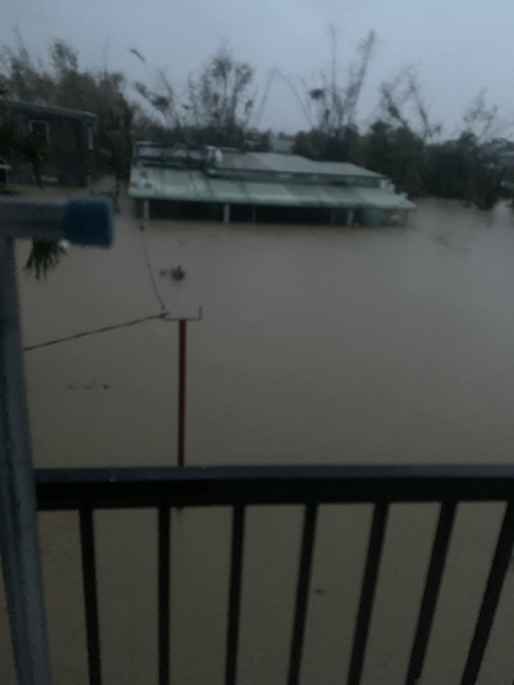 Diễn viên “Mưa đỏ cầu cứu vì bố mẹ mắc kẹt trong vùng lũ, mất liên lạc - 1 Diễn viên “Mưa đỏ cầu cứu vì bố mẹ mắc kẹt trong vùng lũ, mất liên lạc - 1