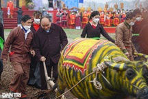 Chủ tịch nước lội ruộng, dắt trâu đi cày đầu năm ở lễ hội Tịch điền