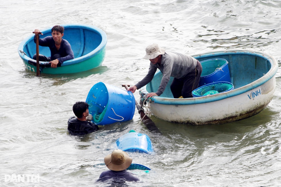 Làng “tỷ phú tôm hùm” hối hả trước bão Kalmaegi - 4 Làng “tỷ phú tôm hùm” hối hả trước bão Kalmaegi - 4