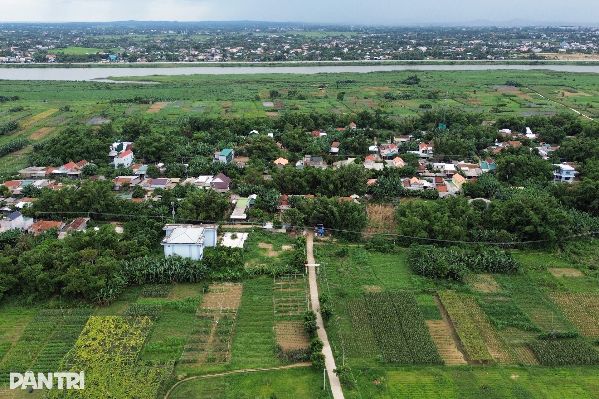 Đất đảo Ngọc ở Quảng Ngãi được tách thửa ồ ạt, chủ tịch tỉnh cũng bất ngờ - 5 Đất đảo Ngọc ở Quảng Ngãi được tách thửa ồ ạt, chủ tịch tỉnh cũng bất ngờ - 5