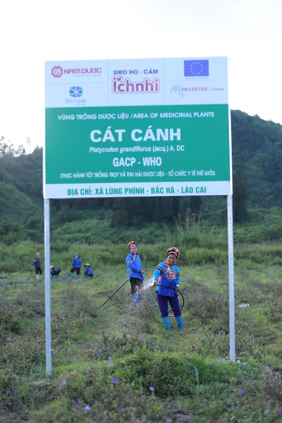 Đây là lý do hàng triệu mẹ tin dùng Siro ho cảm từ dược liệu sạch chuẩn Quốc tế cho con - 2 Đây là lý do hàng triệu mẹ tin dùng Siro ho cảm từ dược liệu sạch chuẩn Quốc tế cho con - 2