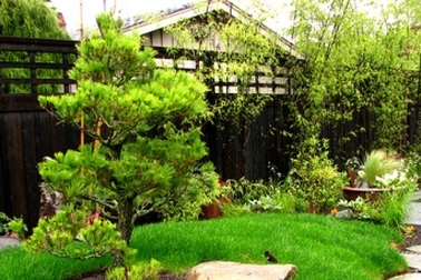 7 bước để có một "không gian xanh" trong mơ