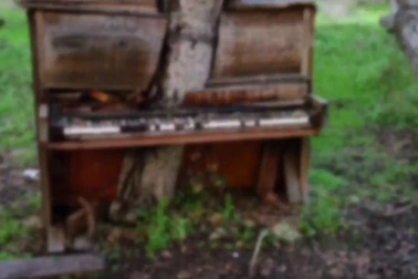 Những khoảnh khắc kỳ diệu khi thiên nhiên xâm lấn các công trình nhân tạo