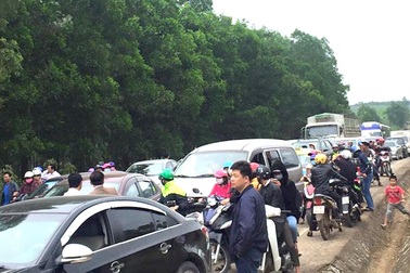 Hàng ngàn người đổ về cánh đồng hoa hướng dương, đường tắc nghẽn