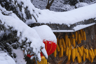 Cảnh đẹp như mơ ở thị trấn tuyết phủ dày