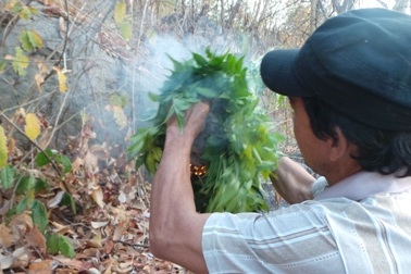 Cánh báo nguy cơ cháy rừng từ mùa lễ hội