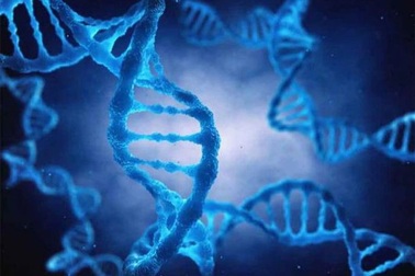 Đại dịch virus bí ẩn từng tấn công châu Á từ 25.000 năm trước