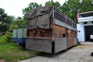 Xe gắn "biển đỏ" chở gần 15m3 gỗ quý hiếm