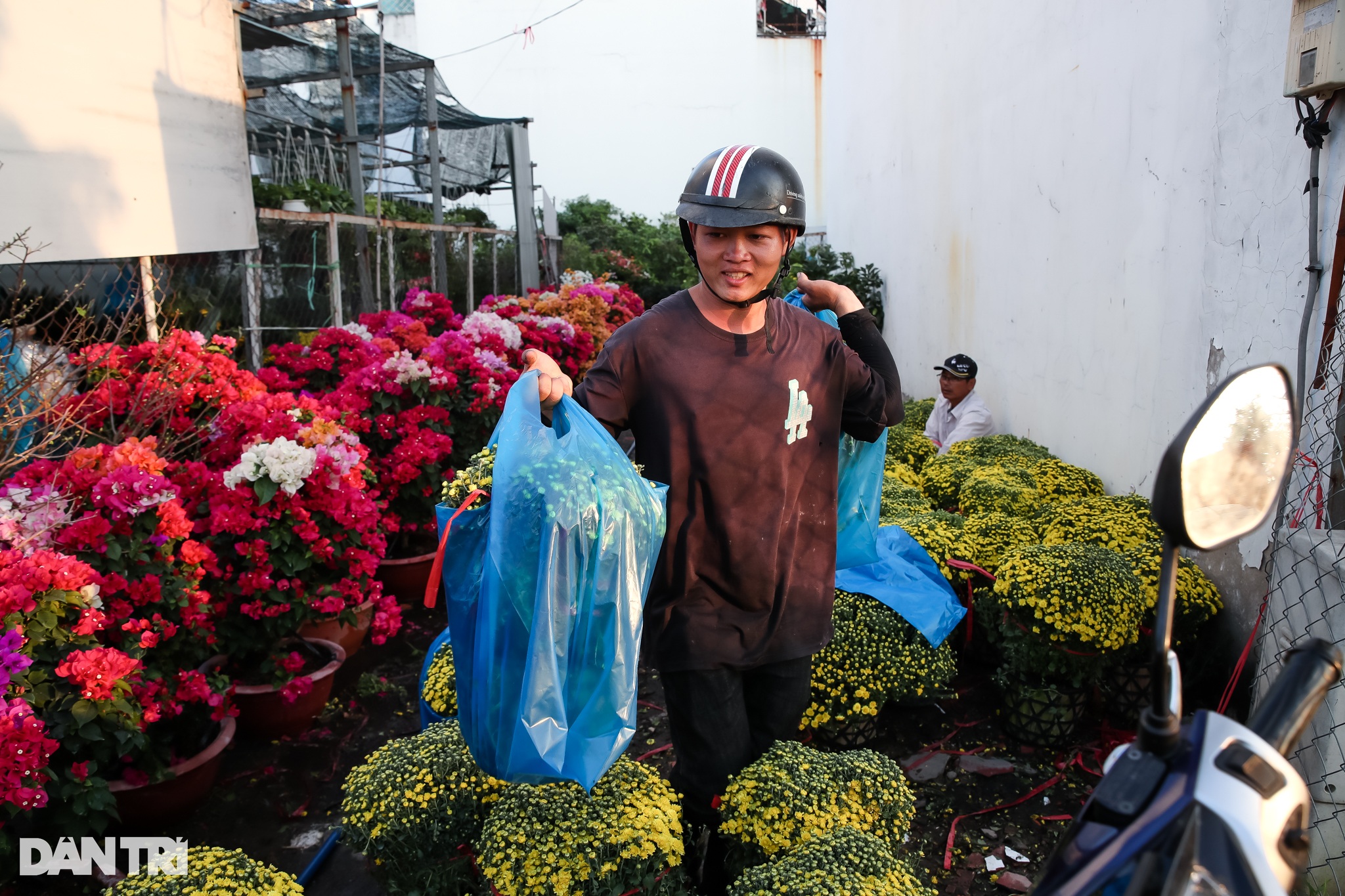 Con đường dọc kênh Tham Lương rực rỡ dịp Tết Nguyên đán - 5 Con đường dọc kênh Tham Lương rực rỡ dịp Tết Nguyên đán - 5